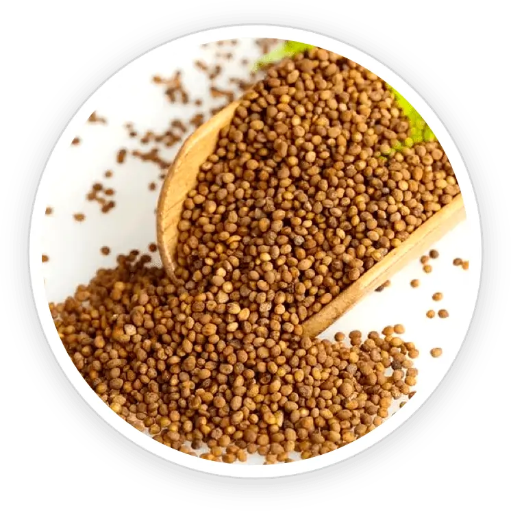 Dodder Seed Emperor's Vigor Tonic Virility